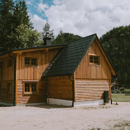 Naturparkresort S'Keuscherl Wildalpen Exterior photo